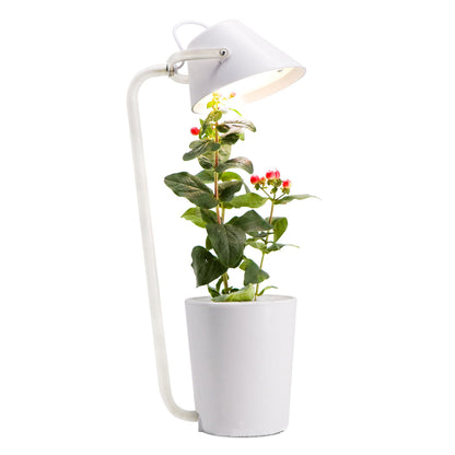 Versatile Hydroponic Growth Container