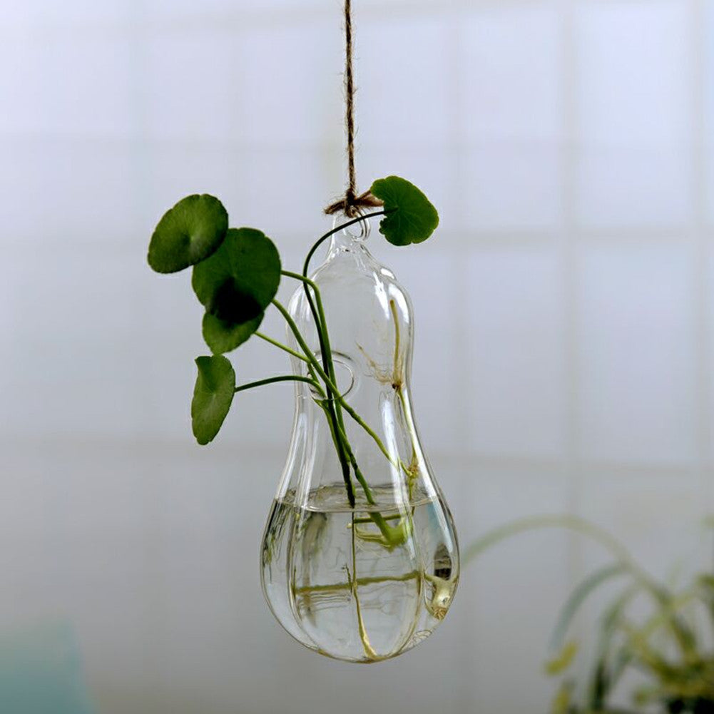 Hanging Transparent Glass Vase Simple Hydroponic Small Hanging Bottle