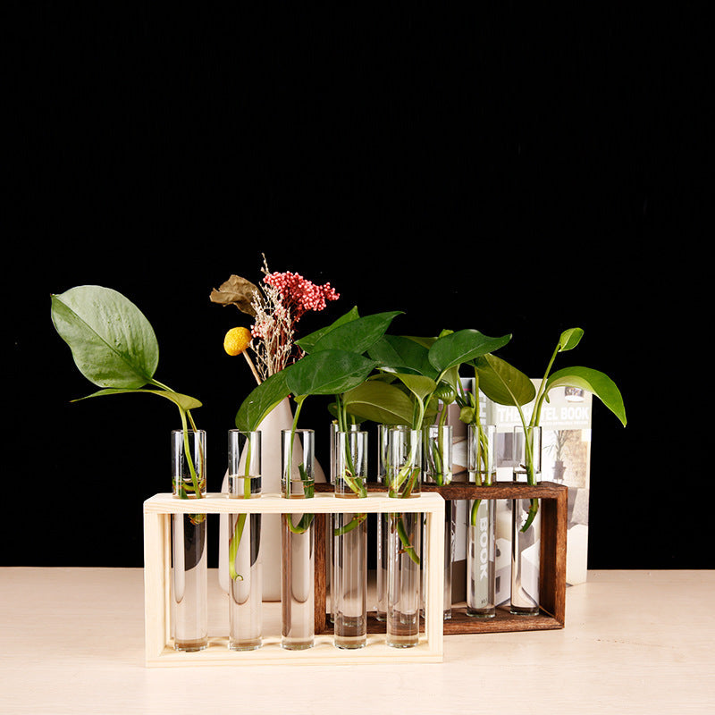 Glass Hydroponic Plants Wooden Stand Vase Test Tube