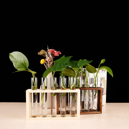 Glass Hydroponic Plants Wooden Stand Vase Test Tube