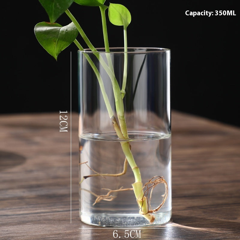 Indoor Tabletop Of High Borosilicate Glass Hydroponic Plant Bottle