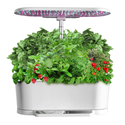 Innovative Hydroponics Machine with LCD WiFi