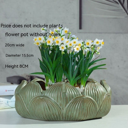 Non-porous Hydroponic Flowerpot Narcissus Hydrocotyle Household