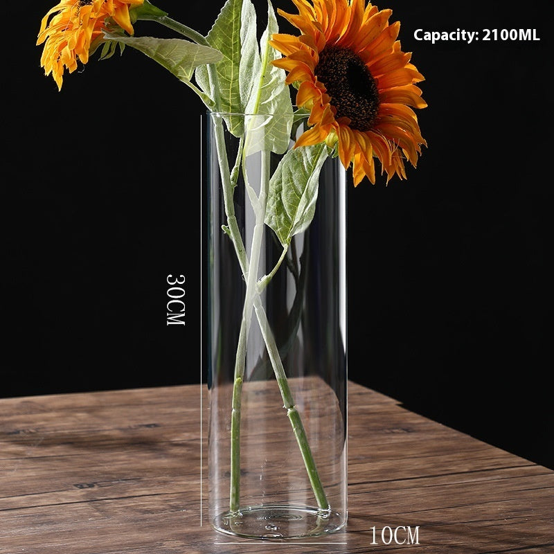 Indoor Tabletop Of High Borosilicate Glass Hydroponic Plant Bottle