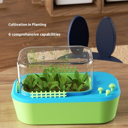 Exciting Hydroponics Observation Box for Kids