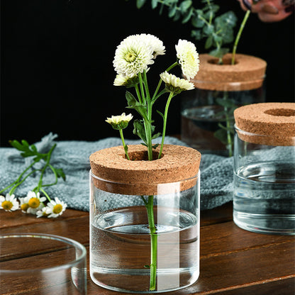 Creative Green Plant Decorative Glass Hydroponic Vase