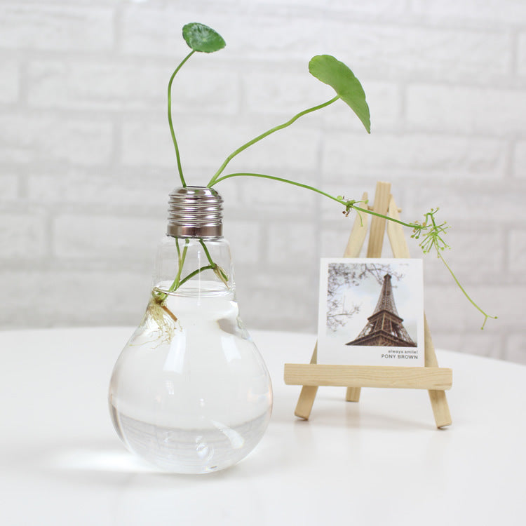 Florero de vidrio transparente con forma de bombilla creativa, dispositivo de decoración con flores hidropónicas