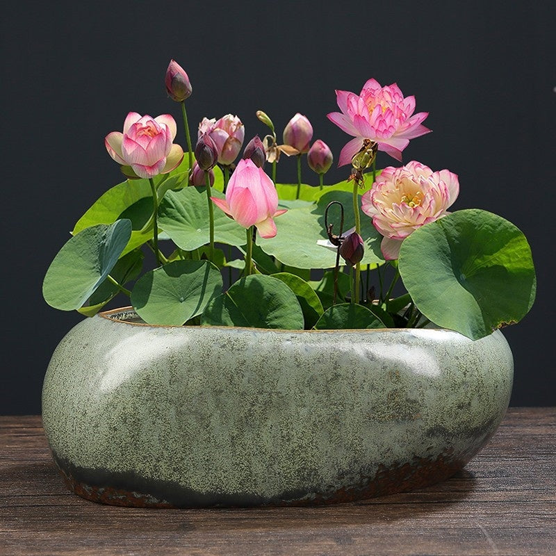 Stoneware Hydroponic Calamus Hydrocotyle Bowl Lotus Flower Pot Ceramic