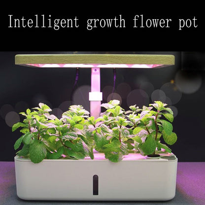 Automated Hydroponic Vegetable Pot for Home