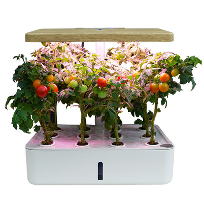 Automated Hydroponic Vegetable Pot for Home