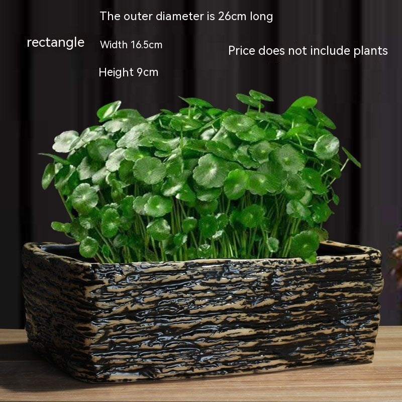 Non-porous Hydroponic Flowerpot Narcissus Hydrocotyle Household