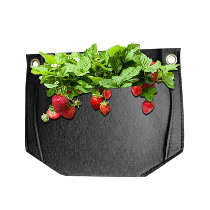 Three-dimensional plant growing bag