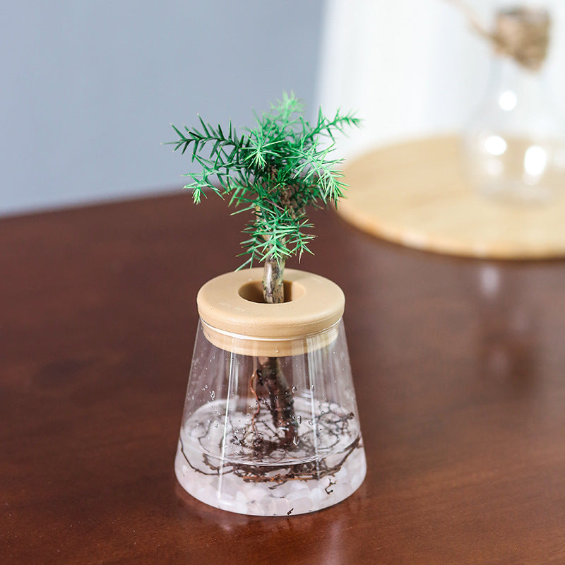 Soporte para flores hidropónicas Maceta para plantas verdes Mini acuario