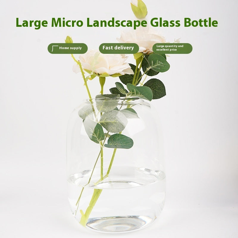 Glass Transparent Hydroponic Container Micro Landscape Landscaping Glass Flower Container