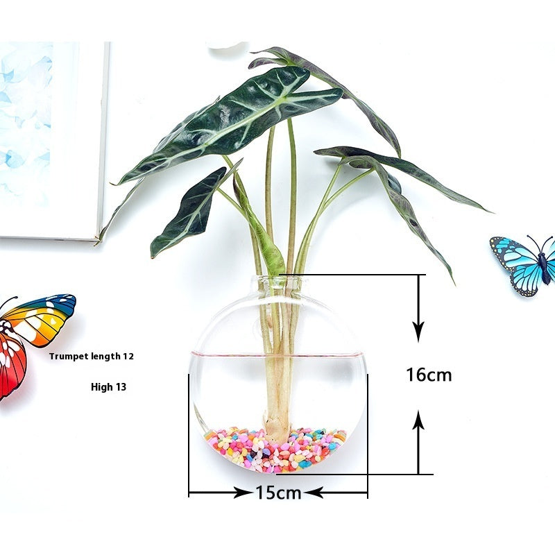 Creative Hydroponic Hanging Transparent Glass Vase