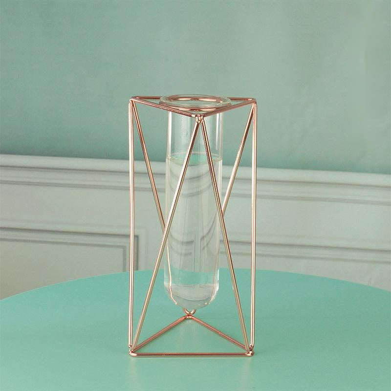 Hydroponic Glass Vase