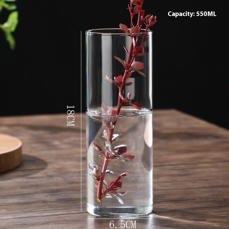 Indoor Tabletop Of High Borosilicate Glass Hydroponic Plant Bottle