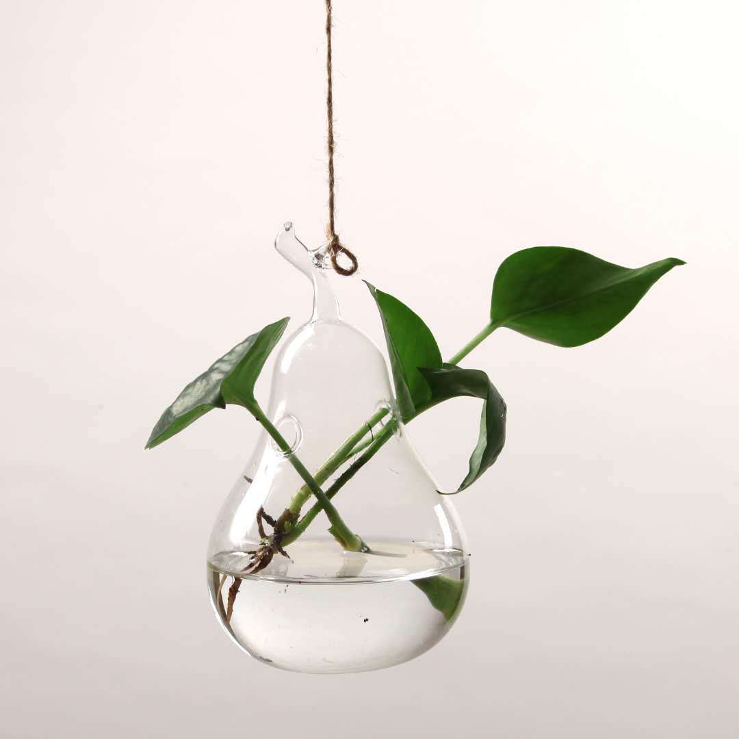 Hanging Transparent Glass Vase Simple Hydroponic Small Hanging Bottle