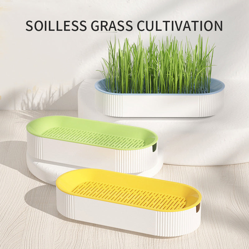 &nbsp;Hydroponic Cat Grass Growing Kit