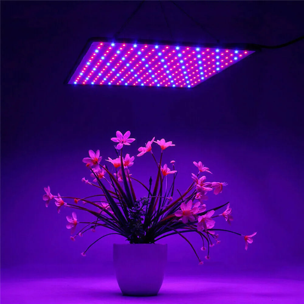 Lámpara LED de espectro completo de 1000 W para cultivo de plantas, cultivo de plantas, cultivo de semillas, interior, caja de cultivo, tienda de campaña, invernadero, horticultura