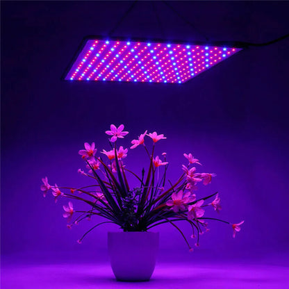 Lámpara LED de espectro completo de 1000 W para cultivo de plantas, cultivo de plantas, cultivo de semillas, interior, caja de cultivo, tienda de campaña, invernadero, horticultura