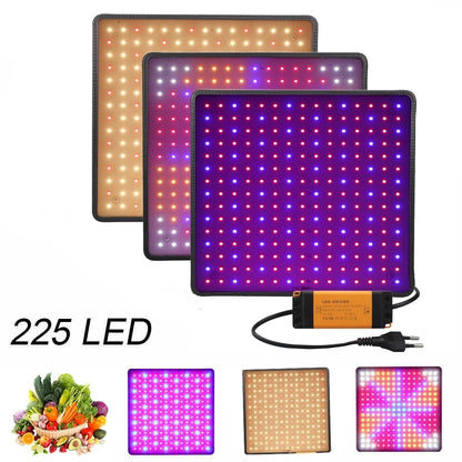 Lámpara LED de espectro completo de 1000 W para cultivo de plantas, cultivo de plantas, cultivo de semillas, interior, caja de cultivo, tienda de campaña, invernadero, horticultura