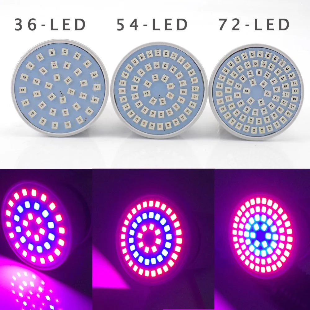 2/3 Head LED Plant Grow Light Lamps Indoor Greenhouse Cultivo  flower red blue growing light For Hydro  Growbox Fitolampy T1