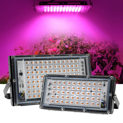 Full Spectrum LED Grow Light Phyto Lamp AC 220V 50W 100W 200W With EU Plug For Greenhouse Hydroponic Plant Growth Lighting