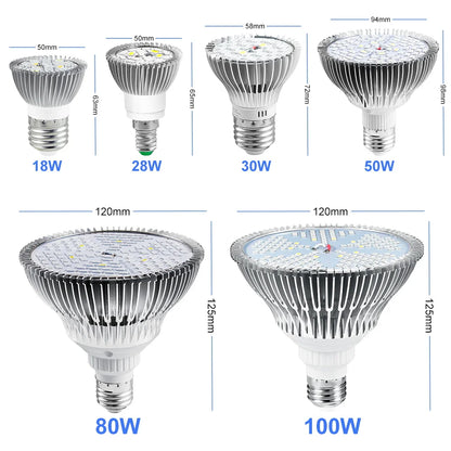 Lámpara LED E27 para cultivo de plantas, espectro completo, fitoamplificador E14 para cultivo hidropónico de plántulas de flores de interior, caja de cultivo de verduras, fluoruro