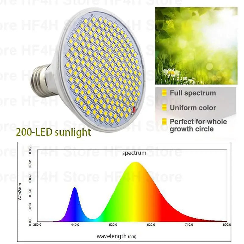 Lámpara Phyto de espectro completo para cultivo de plantas, 200 LED, luz para cultivo de flores, caja de cultivo para el hogar, Fitolamp B4 con clip