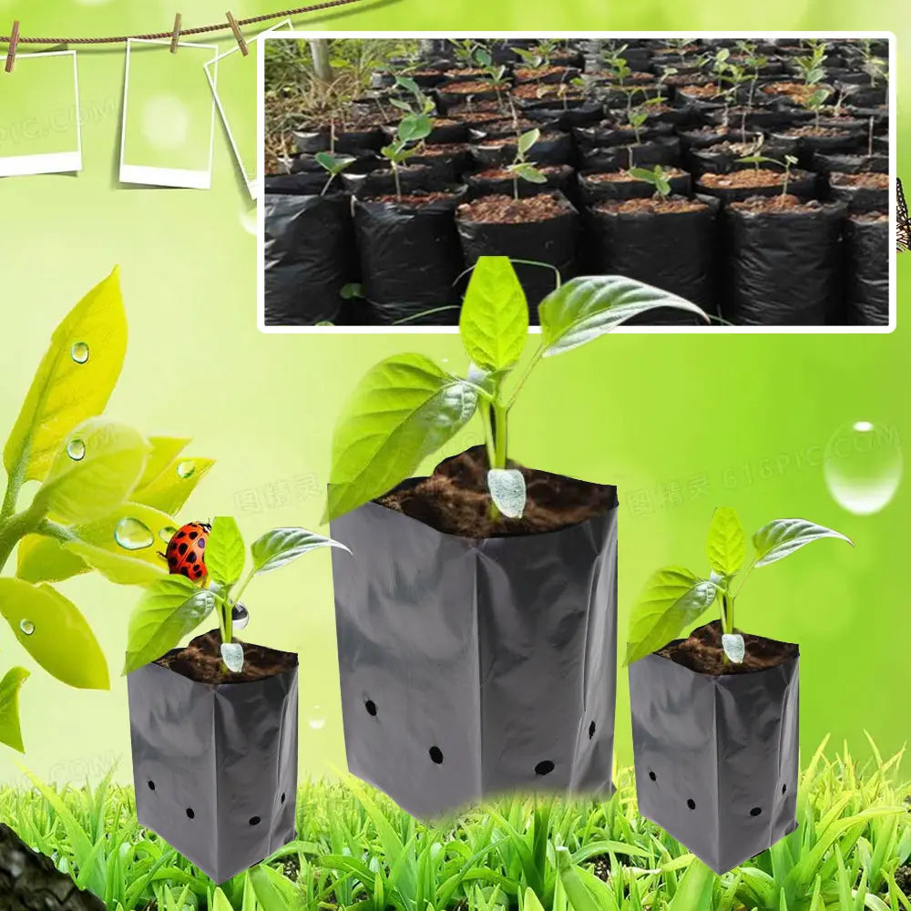 Breathable Nursery Bags for Healthy Seedlings