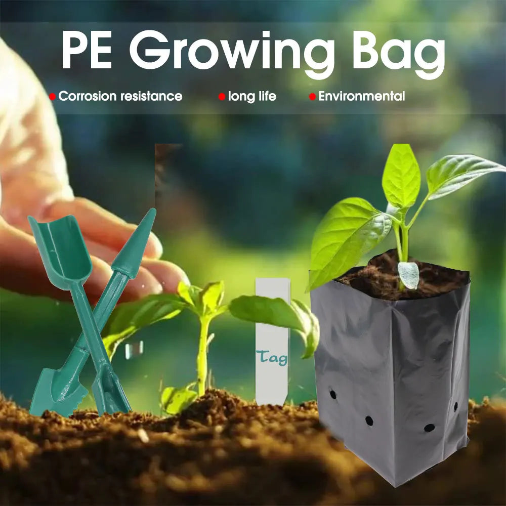 Breathable Nursery Bags for Healthy Seedlings