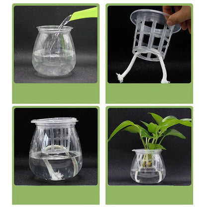 50pcs Hydroponic Mesh Pots for Optimal Growth