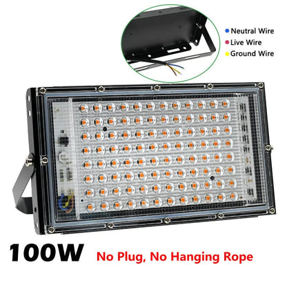 Full Spectrum LED Grow Light Phyto Lamp AC 220V 50W 100W 200W With EU Plug For Greenhouse Hydroponic Plant Growth Lighting