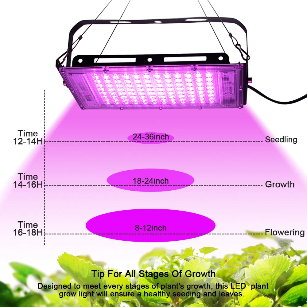 Full Spectrum LED Grow Light Phyto Lamp AC 220V 50W 100W 150W With EU Plug For Greenhouse Hydroponic Plant Growth Lighting