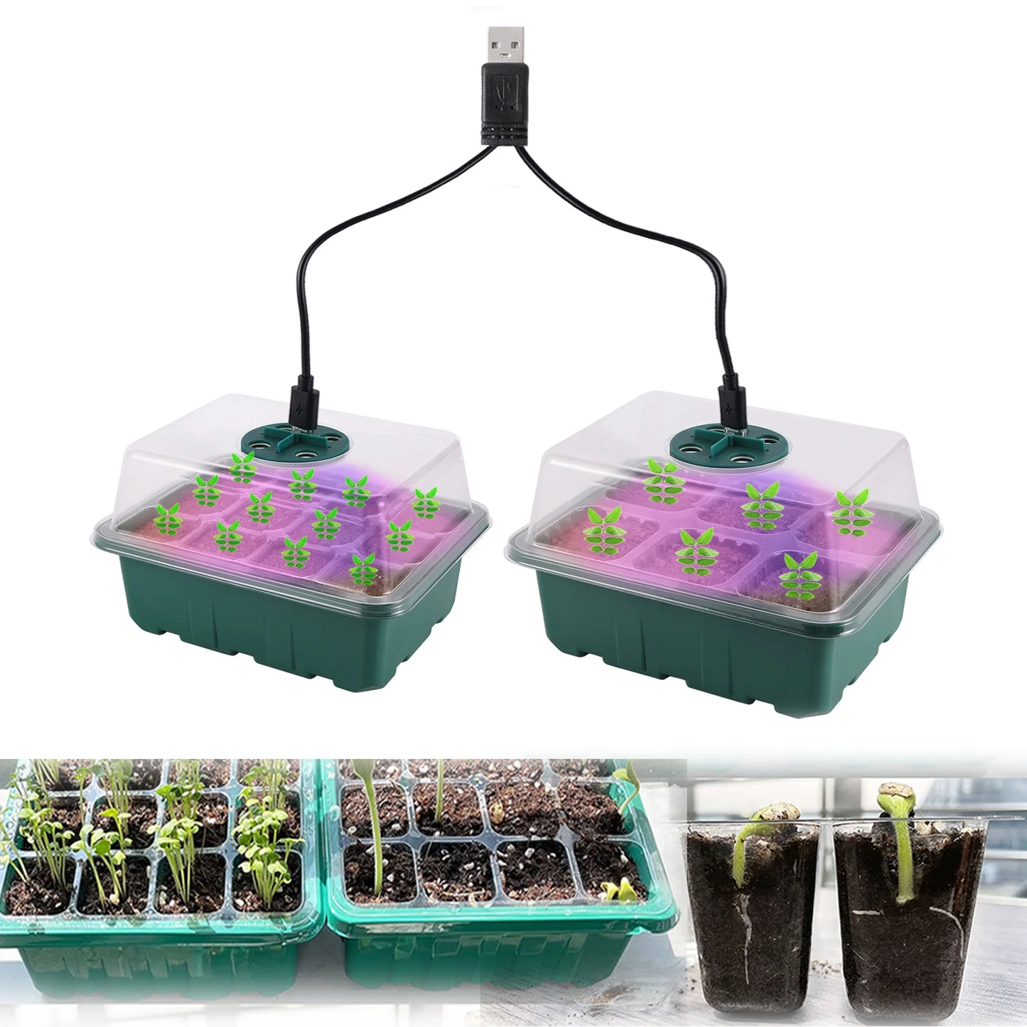 Seed Starter Tray with LED Grow Light