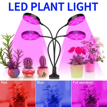 Lámpara LED de espectro completo para cultivo de plantas, para interior, con semillas de flores, para cultivo hidropónico, resistente al agua, con función de temporización y atenuación