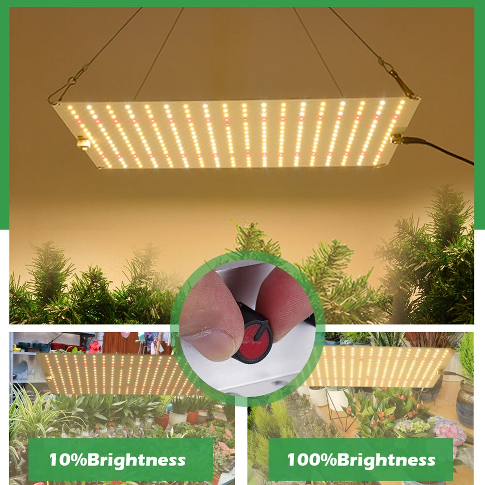 Samsung LM281B Quantum LED Grow Light Veg and Bloom Phytolamp,EU Plug, for Plant Full Spectrum Hydroponic Lamp Greenhouse Flower