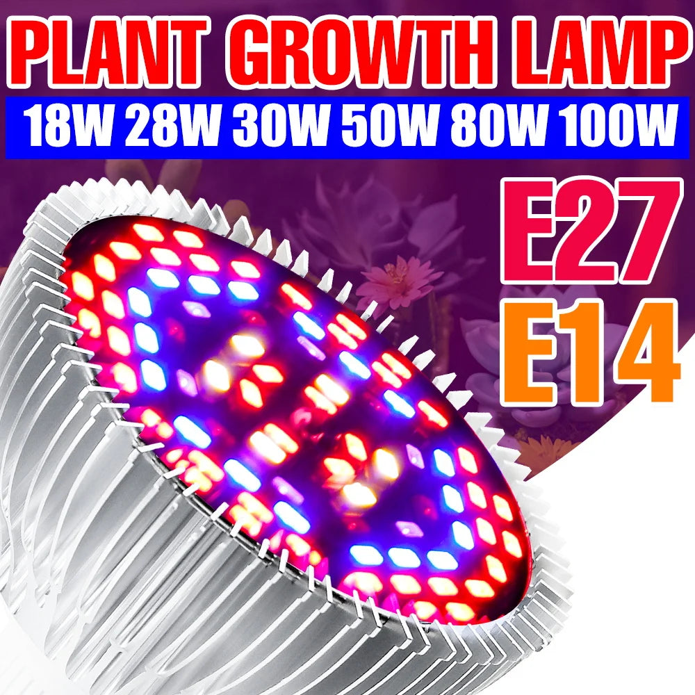 Lámpara LED E27 para cultivo de plantas, espectro completo, fitoamplificador E14 para cultivo hidropónico de plántulas de flores de interior, caja de cultivo de verduras, fluoruro