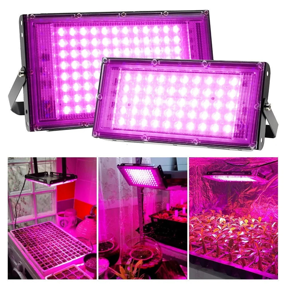 Full Spectrum LED Grow Light Phyto Lamp AC 220V 50W 100W 200W With EU Plug For Greenhouse Hydroponic Plant Growth Lighting