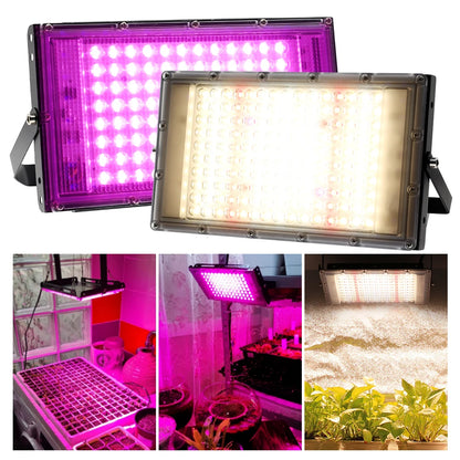 Full Spectrum LED Grow Light 50W 100W Imitated Sunlight Phyto Lamp For Greenhouse Hydroponic Plant Growth Lighting