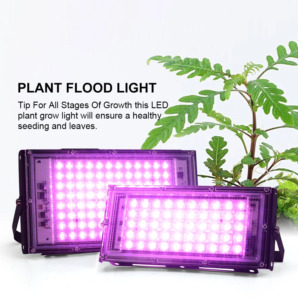 Full Spectrum LED Grow Light Phyto Lamp AC 220V 50W 100W 150W With EU Plug For Greenhouse Hydroponic Plant Growth Lighting