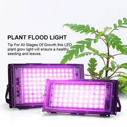 Full Spectrum LED Grow Light Phyto Lamp AC 220V 50W 100W 150W With EU Plug For Greenhouse Hydroponic Plant Growth Lighting