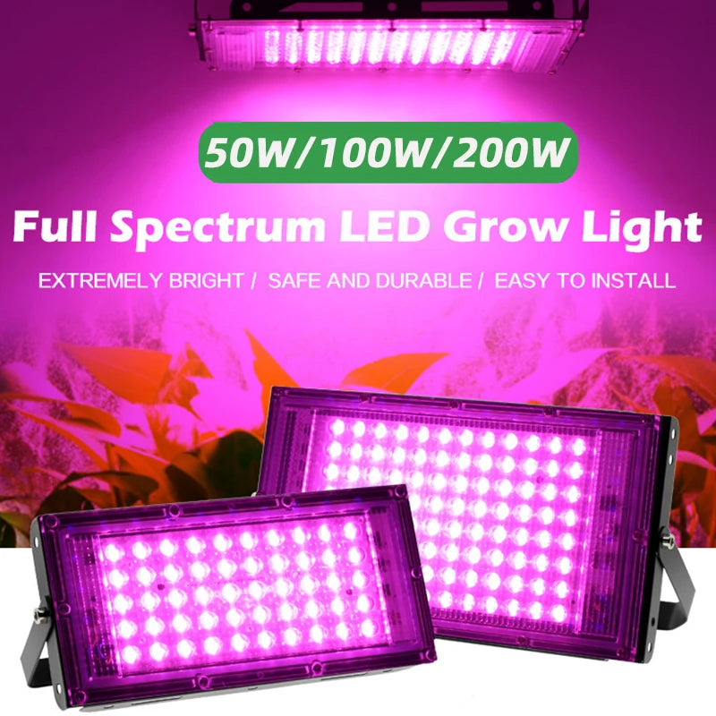 Full Spectrum LED Grow Light Phyto Lamp AC 220V 50W 100W 200W With EU Plug For Greenhouse Hydroponic Plant Growth Lighting