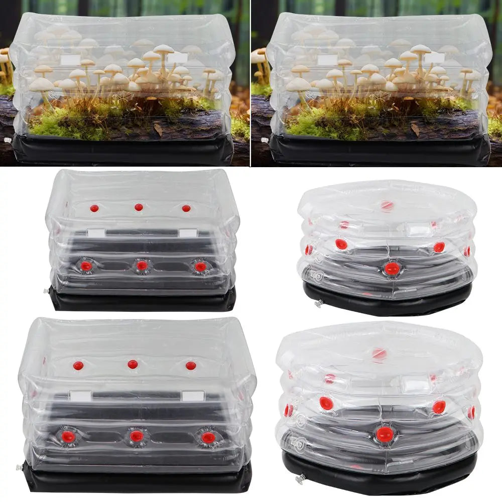 1 kit de cultivo de hongos, bolsa de cultivo monotub inflable con filtro de enchufe para intercambio de aire fresco, caja de vivero para semillas de jardín de casa