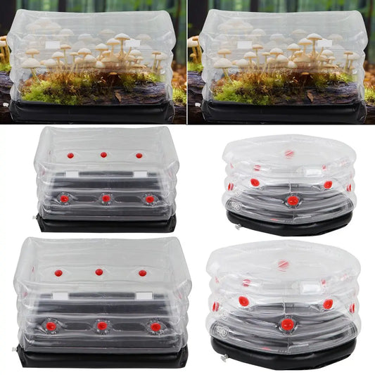 1 kit de cultivo de hongos, bolsa de cultivo monotub inflable con filtro de enchufe para intercambio de aire fresco, caja de vivero para semillas de jardín de casa