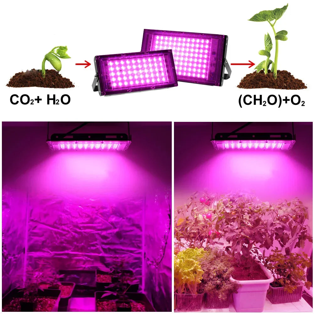 Full Spectrum LED Grow Light AC220V Phyto Lamp with On/Off Switch For Greenhouse Hydroponic Plants Flower Seed Growth Lighting