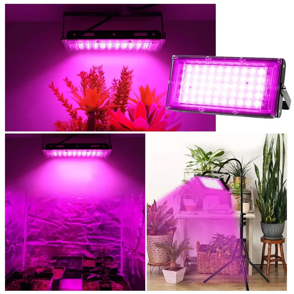 Led Grow Light Plant Hydroponic Lamp LED Full Spectrum 220V LED Phytolamps Light Greenhouse Seeds Flower Grow Lighting 50W 100W