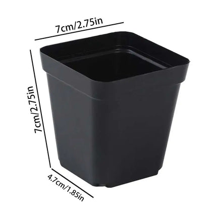 50PCS Plastic Nursery Pots for Seedling Success