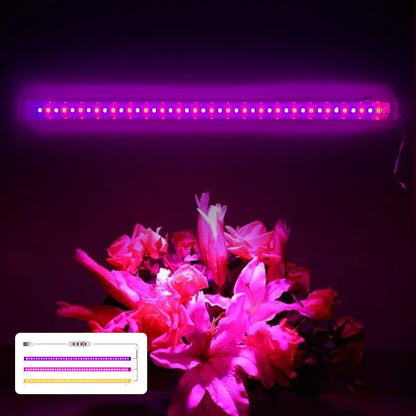 LED Full Spectrum Phyto Lamp USB 5V Grow Light Bar 30cm 1T 2T 3T 4T Plants Flowers Led Greenhouse Cultivo Hydroponic